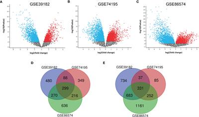 Integrated Analysis of Transcriptome Data Revealed AURKA and KIF20A as Critical Genes in Medulloblastoma Progression